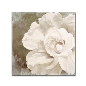35 in. x 35 in. "Petals Impasto II" by Color Bakery Printed Canvas Wall Art