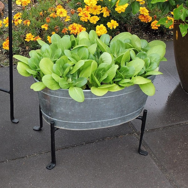 Galvanized Tin Metal 24” Long Planter Trough with Side Handles 