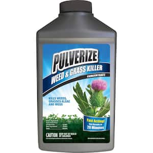 Weed and Grass Killer, 32 oz. Concentrate