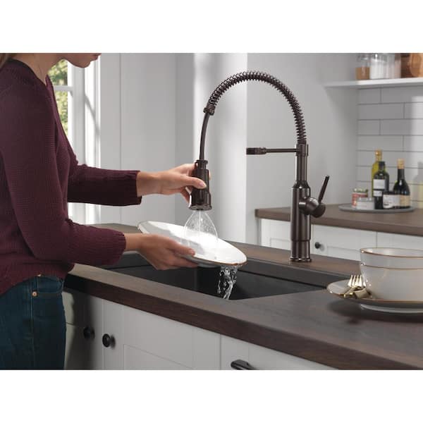 Theodora Single-Handle Pull-Down Sprayer Kitchen Faucet with Spring Spout and ShieldSpray in Venetian Bronze