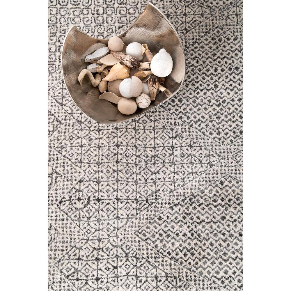 Exie Light Gray Moroccan Geometric 3x5 Area Rug