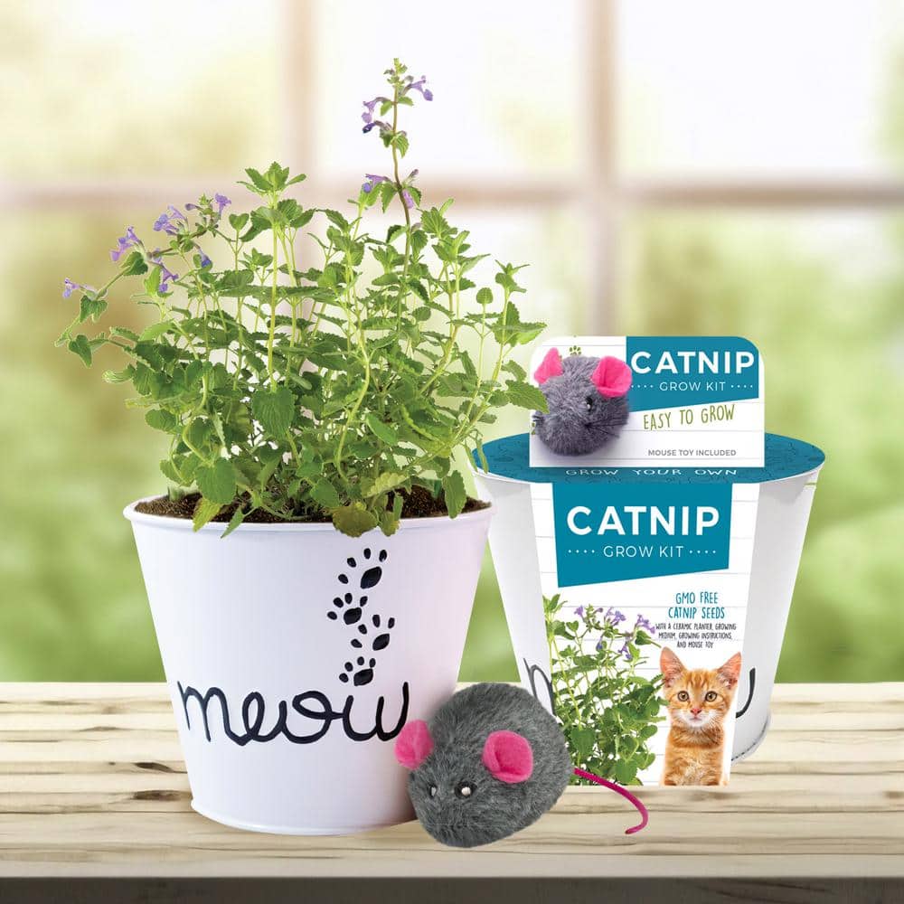 Garden State Bulb Catnip Herb Grow Kit with Mouse Toy (2-Pack) ECH-18-02-01  - The Home Depot