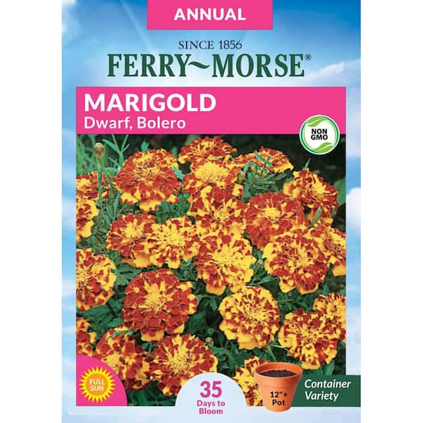 Ferry-Morse Marigold Bolero Dwarf Flower Seeds