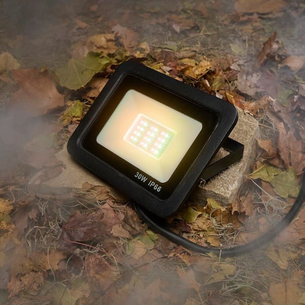 30-Watt Multi-Colored LED Floodlight