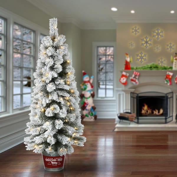 National Tree Company 5 ft. Snowy Pogue Pine Entrance Artificial Christmas Tree with LED Lights