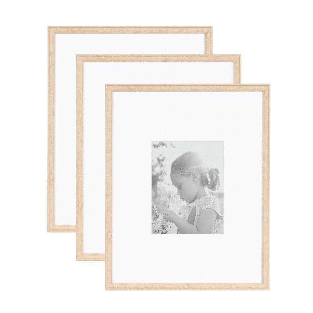 Adlynn 16 in. x 20 in. Natural Picture Frame (Set of 3) price history on PriceWatchPro