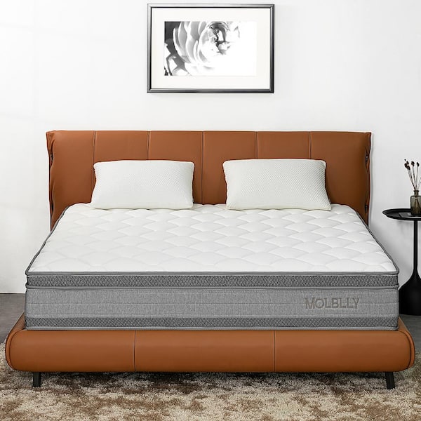 PICCHESS 14 in. Medium Euro Top Hybrid Queen Hybrid Mattress with Individual Pocket Spring