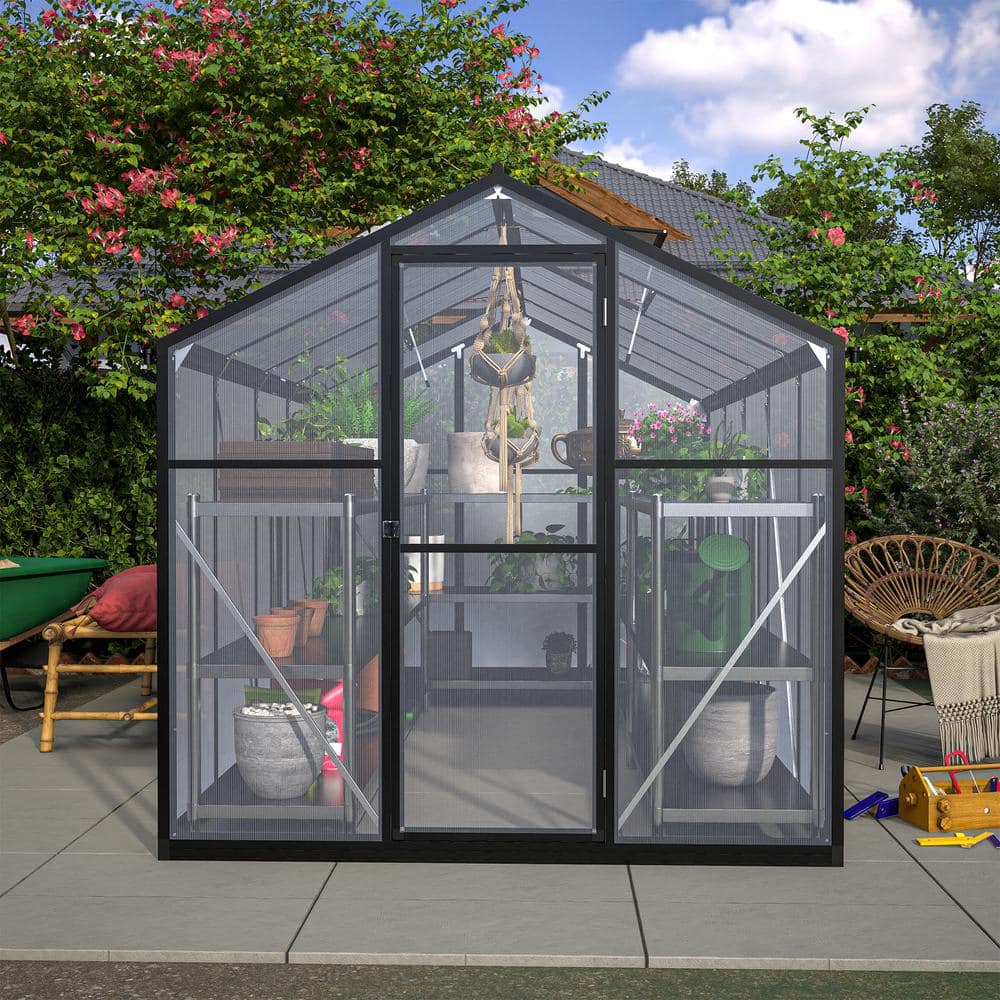 Black Aluminum Frame Walk-In Greenhouse with Polycarbonate Panels, 6' x 10'