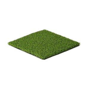 Eco 85 Silver Putt Field + Lime Green 15 ft. Wide + Cut to Length