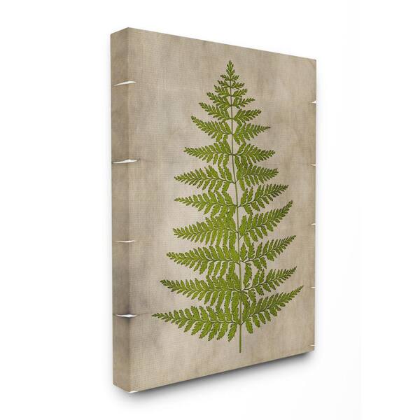 Stupell Industries "Plant Drawing Green Parchment Design" by Ziwei Li Canvas Home Wall Art 20 in. x 16 in.