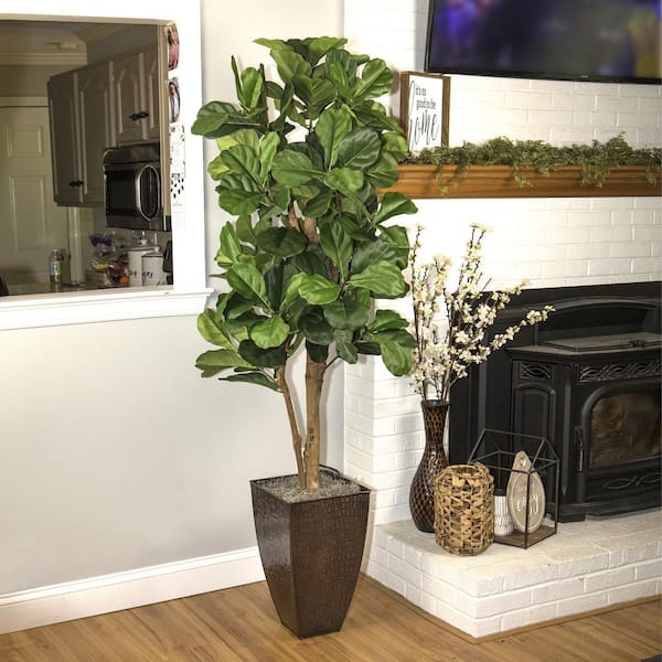 Unbranded 6-Foot Fig Tree in Copper Metal Square Fluted Planter