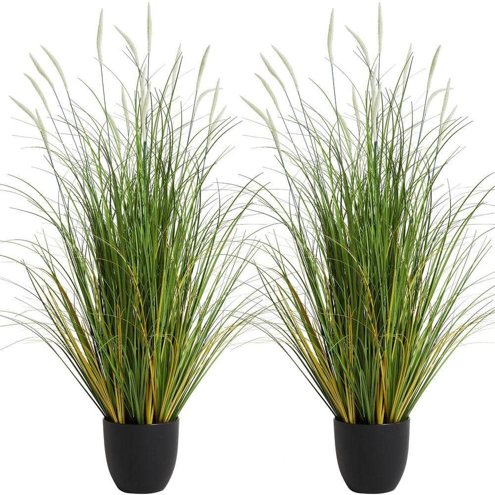 Grass Roots FOREST シースルーブラック アッシュボディ UUDULY 35 in. White Artificial Indoor Outdoor Cattail Reed Grass