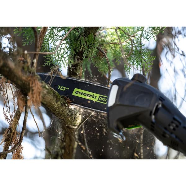 PSCS06B01 2-In-1 Greenworks 10 7A Corded Polesaw