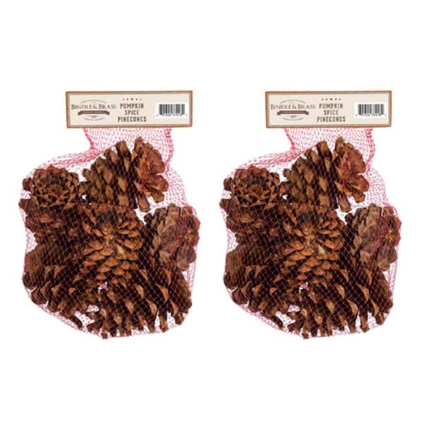 Bindle & Brass Pumpkin Spice Scented Pinecone Bag (2-Pack) BB35