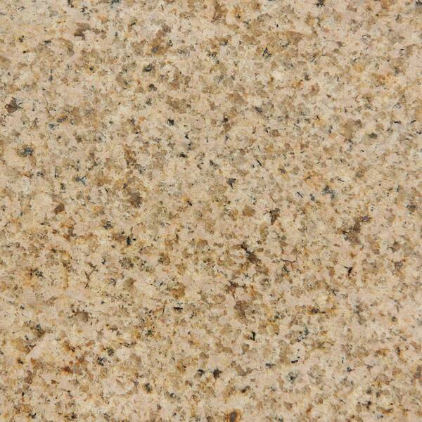 Home Decorators Collection Cottage 4 in. x 4 in. Granite Top Sample in Mohave Beige