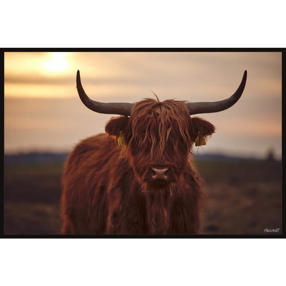 Cattle Portrait by Marmont Hill Floater Framed Canvas Animal Art Print 20  in. x 30 in. EXANI5110GWFF30 - The Home Depot