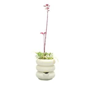 7 in. Dia x 7.25 in. H 3-Ring Composite Self Watering Pot in White