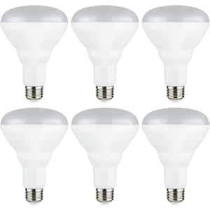 65-Watt Equivalent BR30 ENERGY STAR and Dimmable Recessed Flood LED Light Bulb in Daylight 5000K (6-Pack)