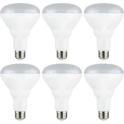 Bulb BR30 LED Bulb Daylight Get 6 Pack Lamp Bulb #BCT01YN Medium Base 10W Dimmable 