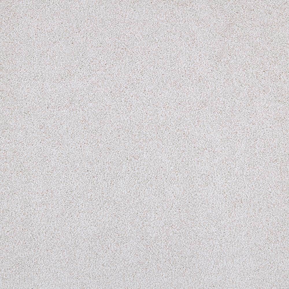 8 in. x 8 in. Texture Carpet Sample - Playful Moments II (S) -Color Moonbeam price history on PriceWatchPro