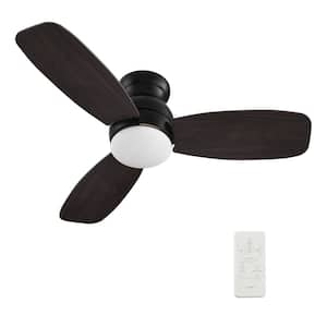 Arran 44 in. Color Changing Integrated LED Indoor Matte Black 10-Speed DC Ceiling Fan with Light Kit and Remote Control