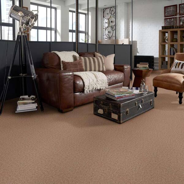 Palmdale I - Nature Walk - Brown 17.6 oz. Polyester Texture Carpet - Installation Required