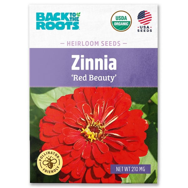 Organic Red Beauty Zinnia Seed (1-Pack)