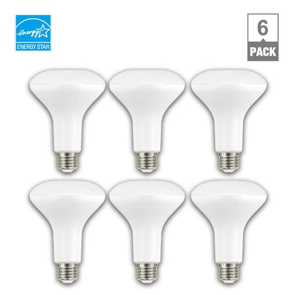 6-Pack Details about   EcoSmart 65-Watt Equivalent BR30 Dimmable LED Light Bulb Daylight 