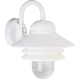 Newport Collection 1-Light White Clear Prismatic Acrylic Shade Transitional Outdoor Wall Lantern Light