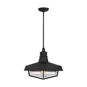 Hollis 16.5 in. W x 13.375 in. H 1-Light Textured Black Dimmable Outdoor Pendant Light with Clear Glass Shade