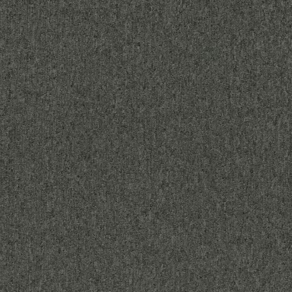 8 in. x 8 in. Loop Carpet Sample - Form Focus 20 - Color Dusk price history on PriceWatchPro