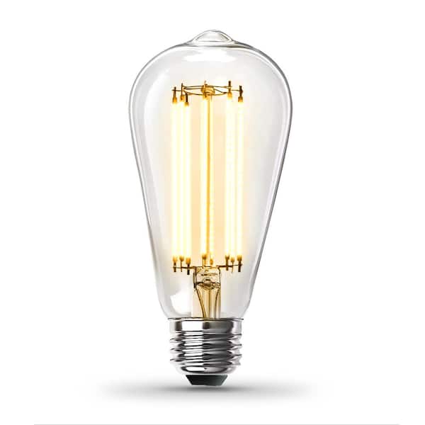 Rafflesia Arnoldi Klokje aflevering Feit Electric 100-Watt Equivalent ST19 Dimmable Straight Filament Clear  Glass Vintage Edison LED Light Bulb, Bright White ST19100CL/930CA/HDRP -  The Home Depot