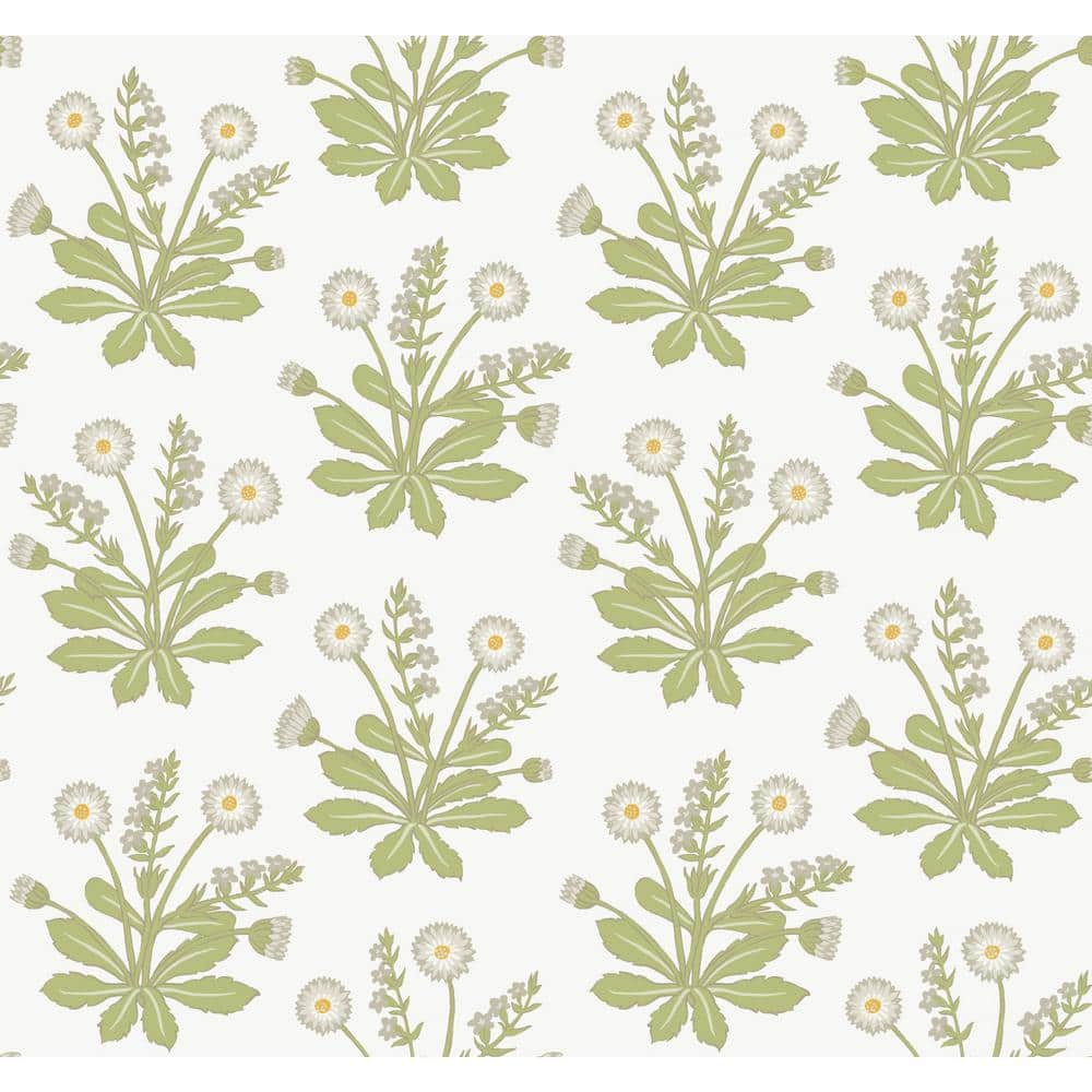 York Wallcoverings 60.75 sq. ft. Meadow Flowers Unpasted Wallpaper ...