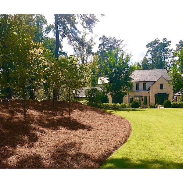 Unbranded - Box of 300 Sq.ft. Long Needle Pine Straw Mulch