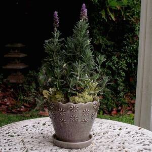 7 in. Taupe Embossed Floral Ceramic Planter