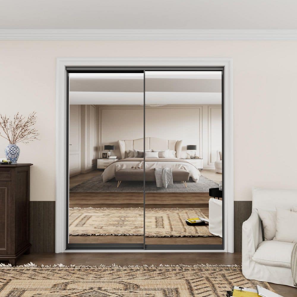 EH PUERTA 72 in. x 80 in. 1-Lite Black Mirrored Glass and Aluminum