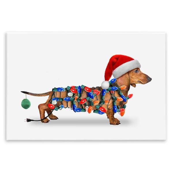 Christmas Lights Wrapped Dog by John Hovenstine 1-Piece Unframed Graphic Animal Art Print 13 in. x 19 in.