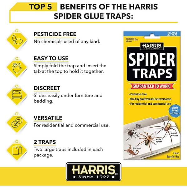 Harris Window Fly Trap (12 Pack) - PF Harris