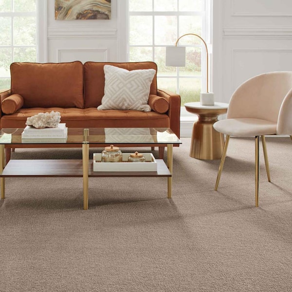 Gazelle II  - Steam Boat Basin - Brown 55 oz. Triexta Texture Installed Carpet