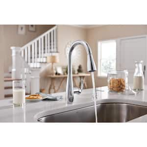 Essie Single-Handle Pull-Down Sprayer Kitchen Faucet with Reflex and Power Clean in Chrome