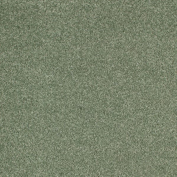 Cleoford Leprechaun Green 47 oz. Triexta Texture Installed Carpet