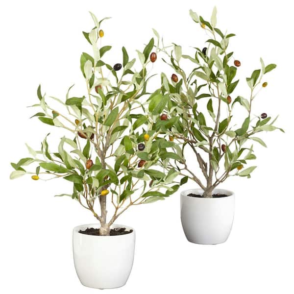 Nearly Natural 18 in. Artificial H Green Olive Silk Tree with Vase (Set of 2)