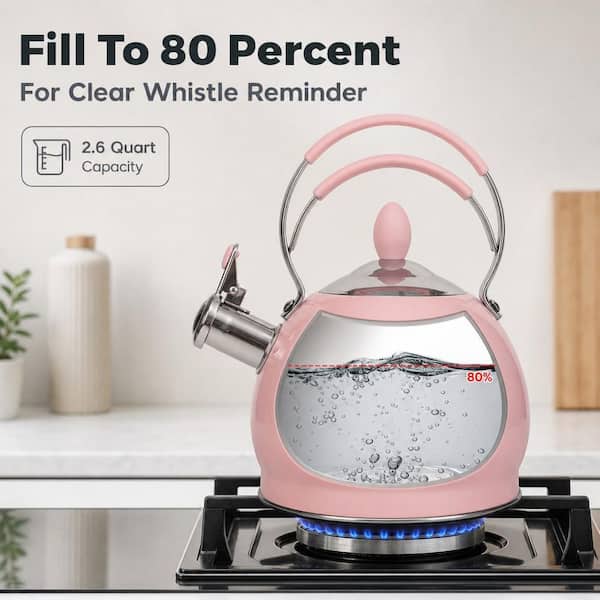 Numhew 2.6 qt. 12-Cup Stainless Steel Whistling Induction Stovetop