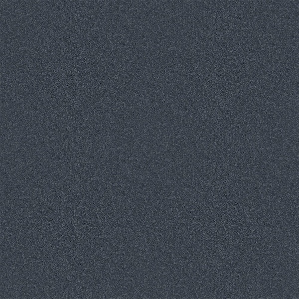 TrafficMaster Watercolors II - Old Jeans - Blue 38.4 oz. Polyester Texture Installed Carpet