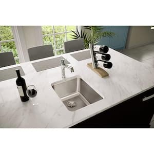 Lustertone Undermount Stainless Steel 17 in. Single Bowl Kitchen Sink with 10 in. Bowl