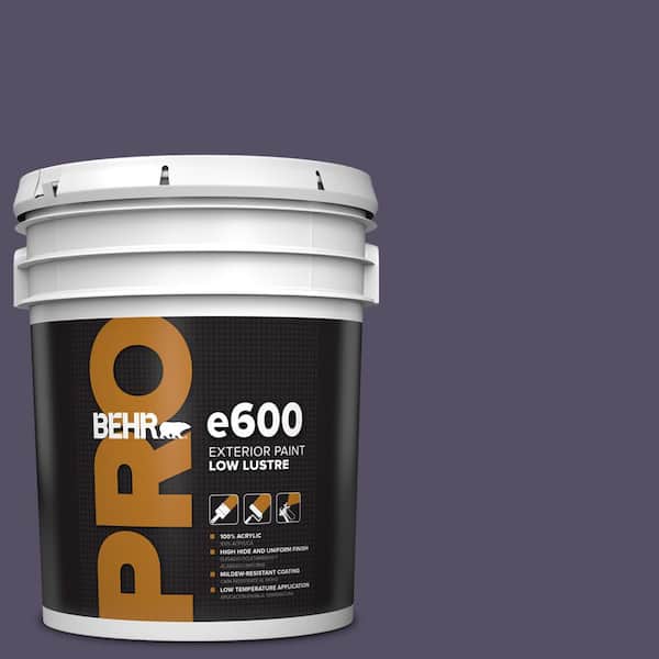 BEHR PRO 5 gal. #MQ5-38 Illusionist Low Luster Exterior Paint