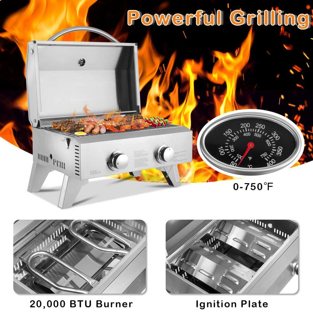 Stainless Steel 2-Burner Portable Propane Gas Grill
