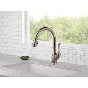 Leland Single-Handle Pull-Down Sprayer Kitchen Faucet with ShieldSpray in Stainless