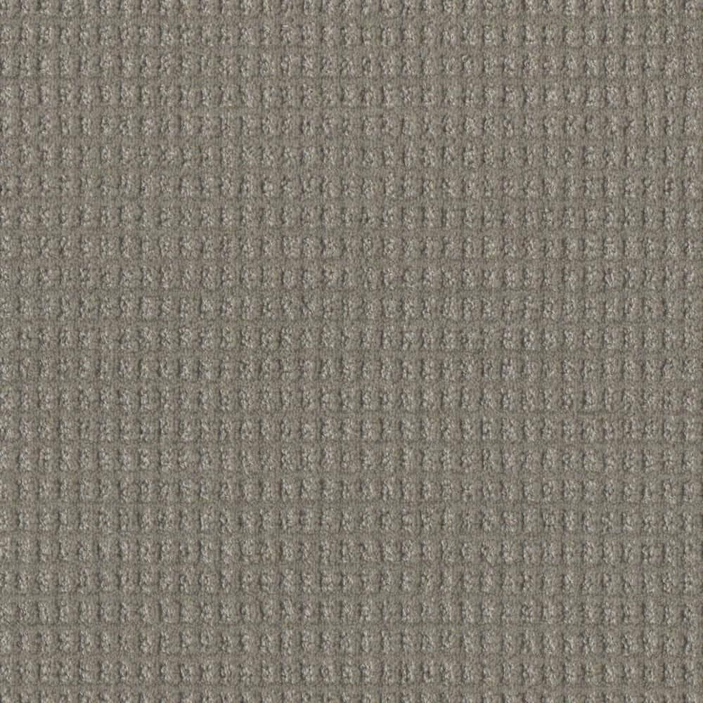 8 in. x 8 in. Pattern Carpet Sample - Amaryllis - Color Athene price history on PriceWatchPro