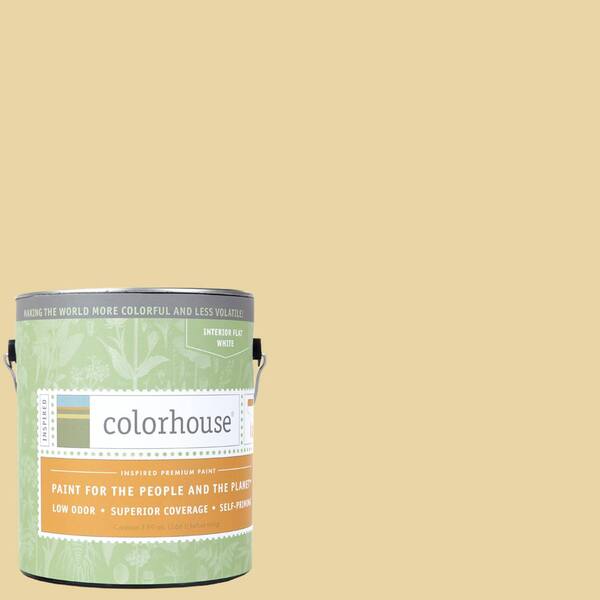 Colorhouse 1 gal. Stone .01 Flat Interior Paint